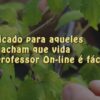 erros