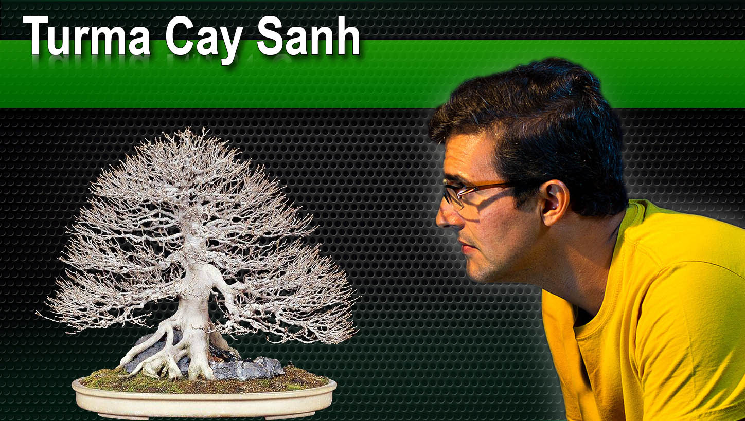 Turma Cay Sanh