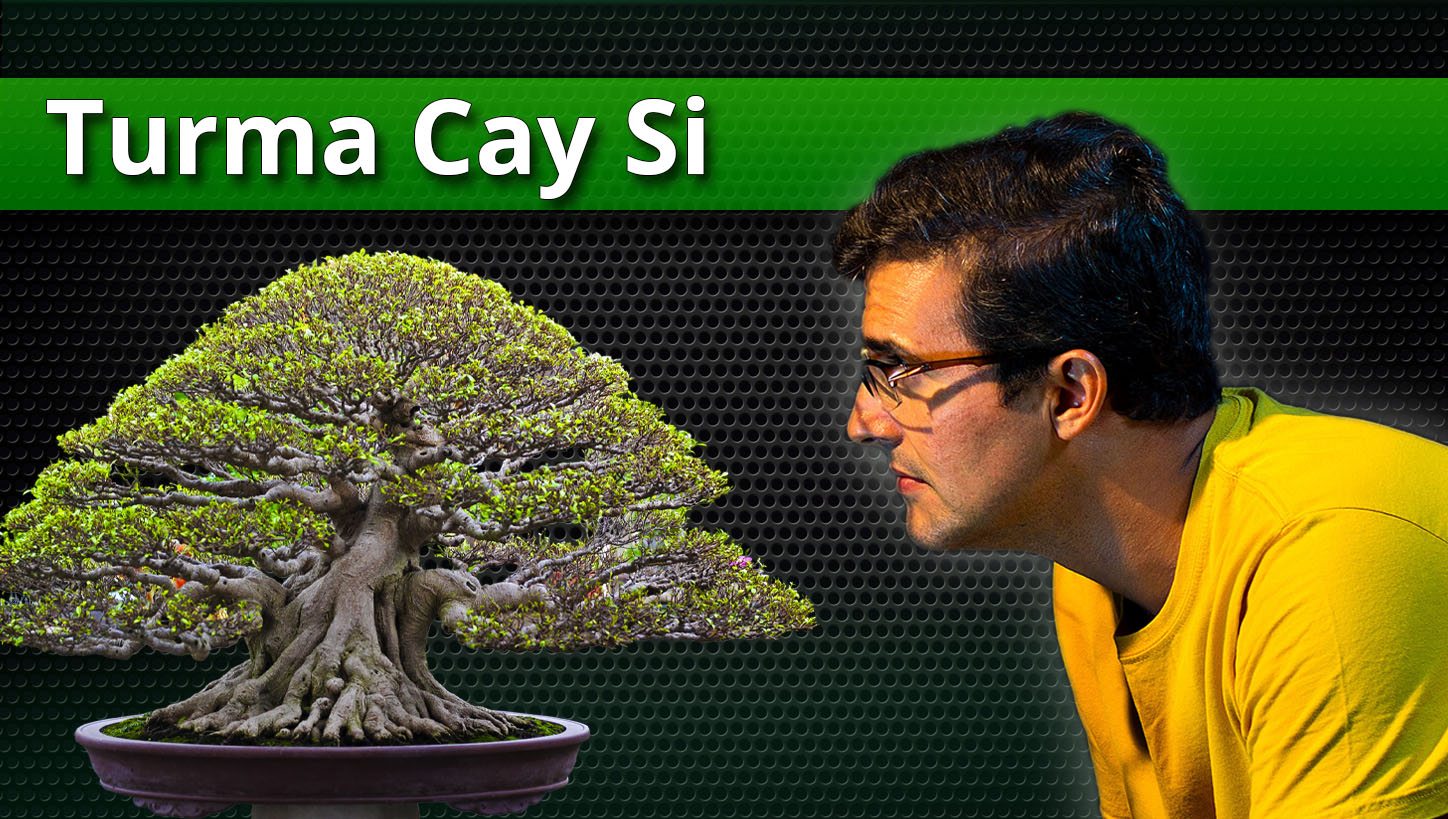 Turma Cay Sanh